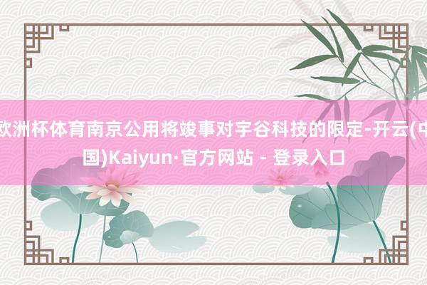 欧洲杯体育南京公用将竣事对宇谷科技的限定-开云(中国)Kai