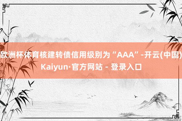 欧洲杯体育核建转债信用级别为“AAA”-开云(中国)Kaiy