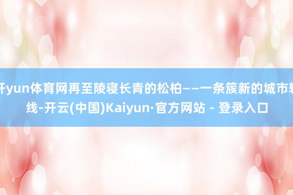 开yun体育网再至陵寝长青的松柏——一条簇新的城市轴线-开云
