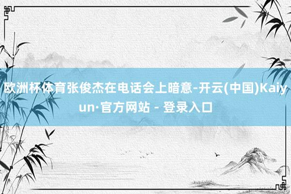 欧洲杯体育张俊杰在电话会上暗意-开云(中国)Kaiyun·官