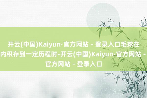 开云(中国)Kaiyun·官方网站 - 登录入口毛球在胃肠说