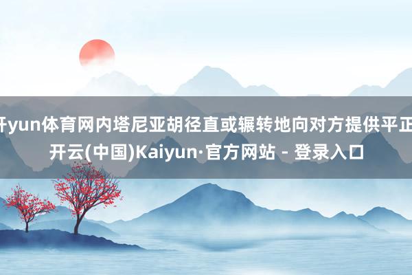 开yun体育网内塔尼亚胡径直或辗转地向对方提供平正-开云(中
