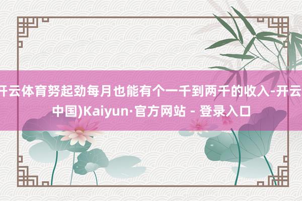 开云体育努起劲每月也能有个一千到两千的收入-开云(中国)Ka